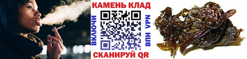 ГАШИШ гарик  где найти   ссылка на мегу как войти  Короча 