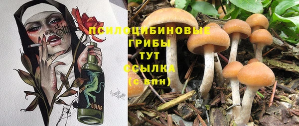 марихуана Белокуриха