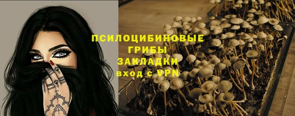мдпв Беломорск