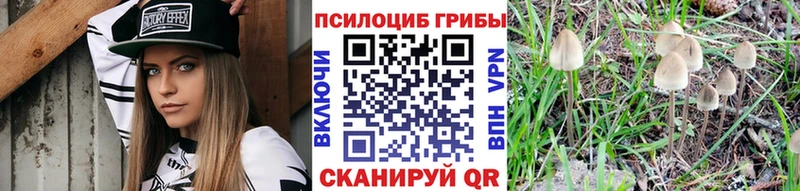 Галлюциногенные грибы Psilocybine cubensis  блэк спрут ссылка  Короча  как найти закладки 